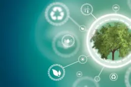 Interzero svetovanje